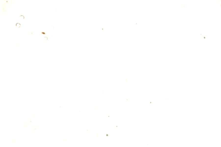 Image 110